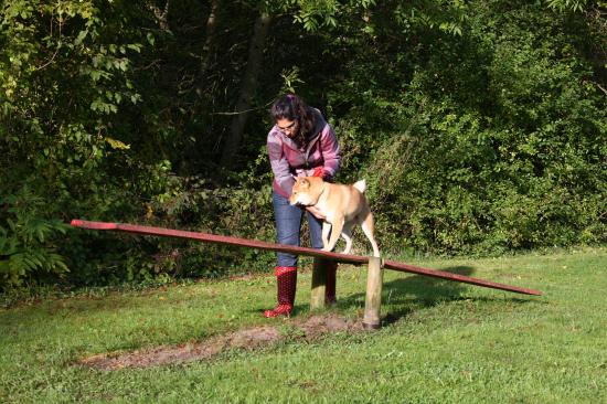 Quelques photos ...